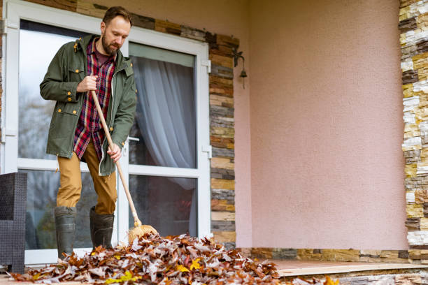 Best Household Junk Removal  in Desert View Highlands, CA